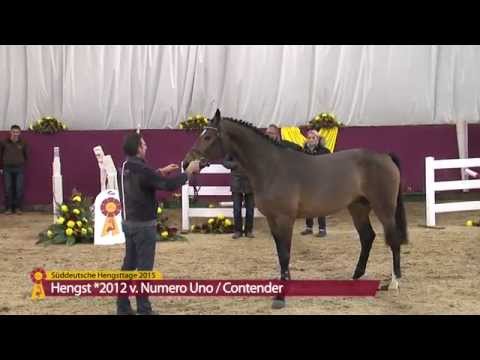 Numero Uno - Contender - KN 69