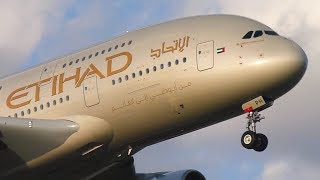 GOLDEN Etihad Airways A380-800 Landing at Sydney Airport | A6-APH