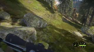 #8 theHunter:Call of the Wild