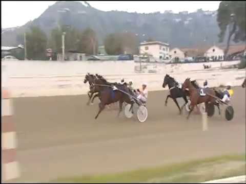 Trotto 27/12/2016 - 4ª corsa