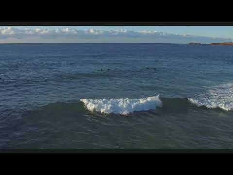 Dragonfly Digital Cinematics - Initial Launch Video