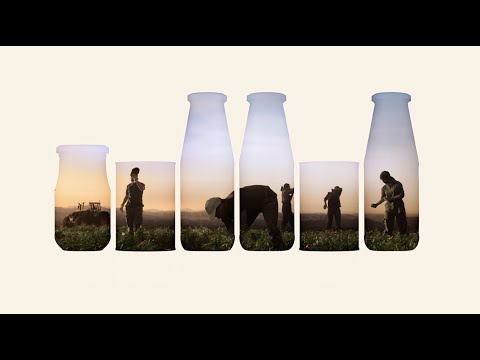 Anteprima video