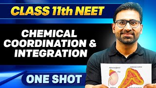 CHEMICAL COORDINATION & INTEGRATION in ONE SHOT || All Concepts, Tricks & PYQ || Ummeed NEET
