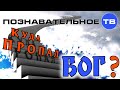 Куда пропал бог? (Познавательное ТВ, Михаил Величко) 