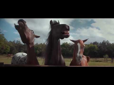 Volkswagen - Laughing Horses | Hand-picked by Good Ads Matter