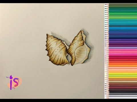 Thème Vacances 3/4 Tuto: Coquillages Effet: Nacré