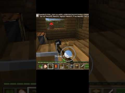 UNBELIEVABLE! Witch Hunt House Discovered! #Minecraft