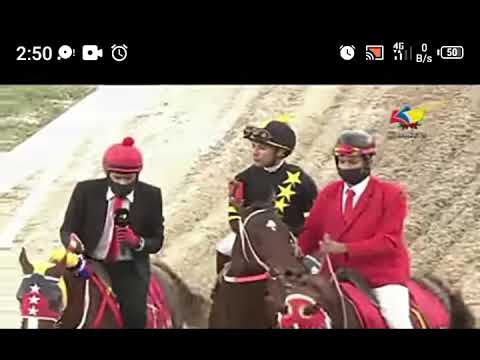 El Jinete Jose Ortiz Reconoce que siguió Indicaciones del Pocho Lugo