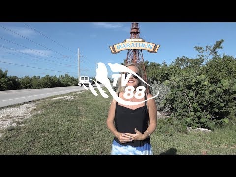 The City of Marathon - one year after Irma- Rebekah interviews City Manager Chuck Lindsey