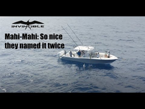 HOW TO: Mahi-Mahi Fishing with Invincible & Mercury Marine
