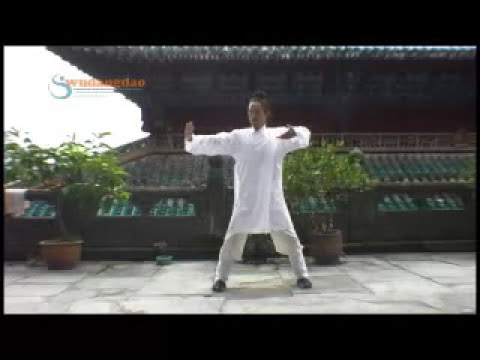 Wudang Five Animal Qigong  氣功 Qigong for Health