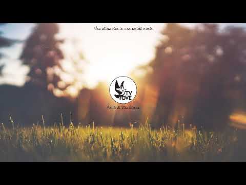 Live FDVE - L’Amore Appassionato Di Gesù - pt. 3