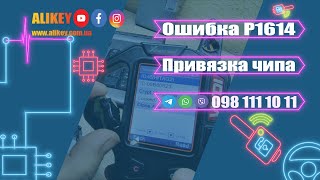 video-img