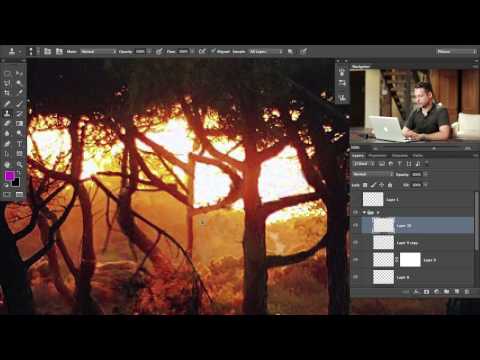 How to Set Up and Use a Wacom Tablet