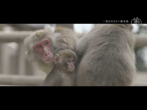 [Mini viaje a la ciudad de Oita (5 minutos)] Versión japonesa