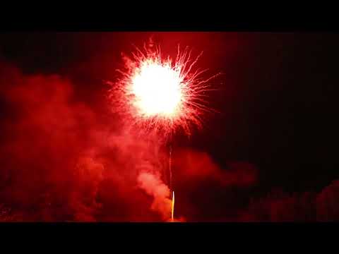 5506   Gender dahlia 1 pink