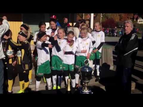 GULD Hammarby F03 Vit Oktoberpokalen 2013