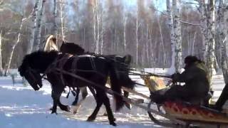 Over The River And Through The Woods (Lyrics in Description)