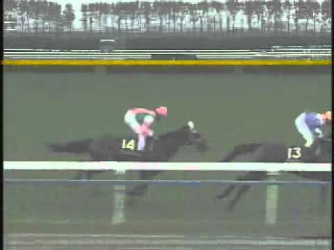 1994 Kikuka Sho - Narita Brian