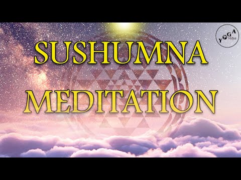 Sushumna Mantra Meditation mit Sukadev - Yoga Vidya Ashram Bad Meinberg