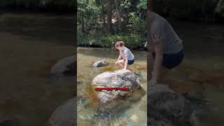 Download lagu UNDANG GADIS JEPANG KE HUTAN‼️ #trending #kaburajadulu mp3