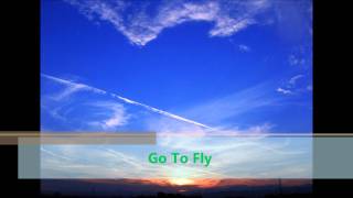 ED3  Go-To-Fly/sunbrain