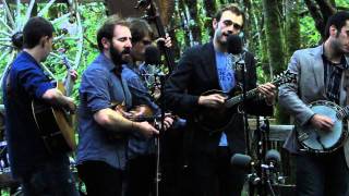 Pickathon 2010: 2+2=5 (Radiohead Cover) - Punch Brothers
