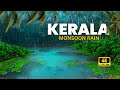 Kerala Monsoon Rain Peaceful Village Rain Sounds 4K Ultra HD
