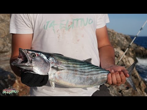 Catch and Cook: 2-Day Fishing Trip on Cres and Lošinj Islands, Croatia