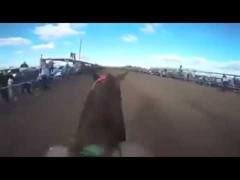 Cámara del Jockey en EL GATO AMERICANO