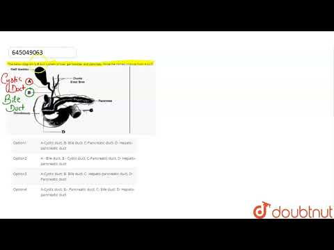 Das folgende Diagramm zeigt das Gangsystem von Leber, Gallenblase und Bauchspeicheldrüse. Schreib...