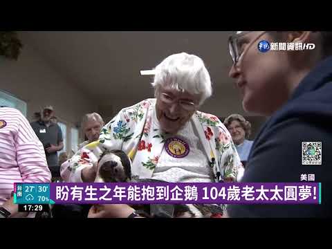 盼有生之年能抱到企鵝 104歲老太太圓夢!
