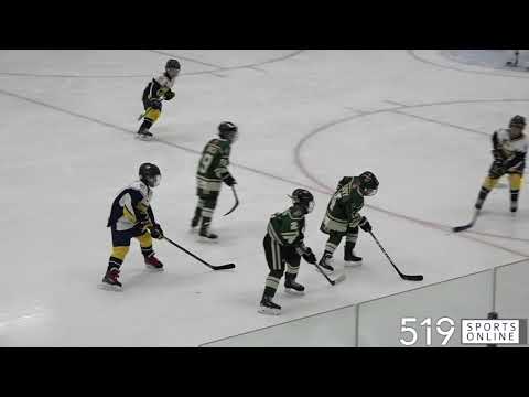 Hespeler Minor Hockey (Atom) - Flamborough Sabres vs Hespeler Shamrocks