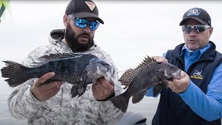 Spring Black Sea Bass Fishing on Buzzards Bay | S18 E2