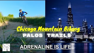 Midwest Mountain Bike Trails:  The Palos Trail System | The Busiest Trails on Earth