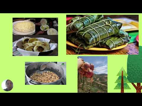 Abrego norte de santander