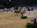 Tormod Bakke Johnsen Hiram De La Cense Oslo Horse Show 17 10 2010