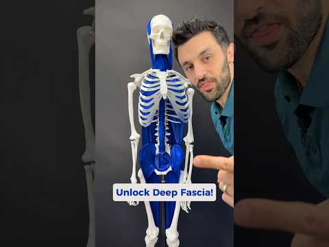 The deep line of fascia could be contributing to your head, neck, or jaw pain. #fascialrelease