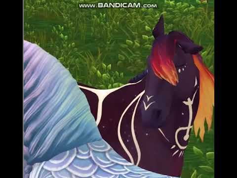 l@@k ..SSO New Horses UMBRA & AYLA  Coming March 25 2020