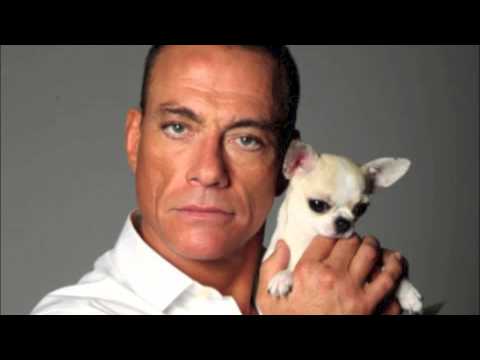 Trance & Progressive 3