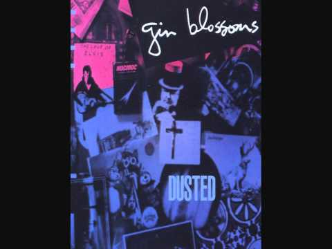 Gin Blossoms - Hey Jealousy (