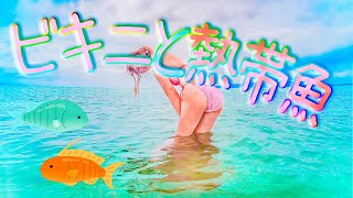 【熱帯魚】キンガムチェックのビキニでお魚と遊んだ。