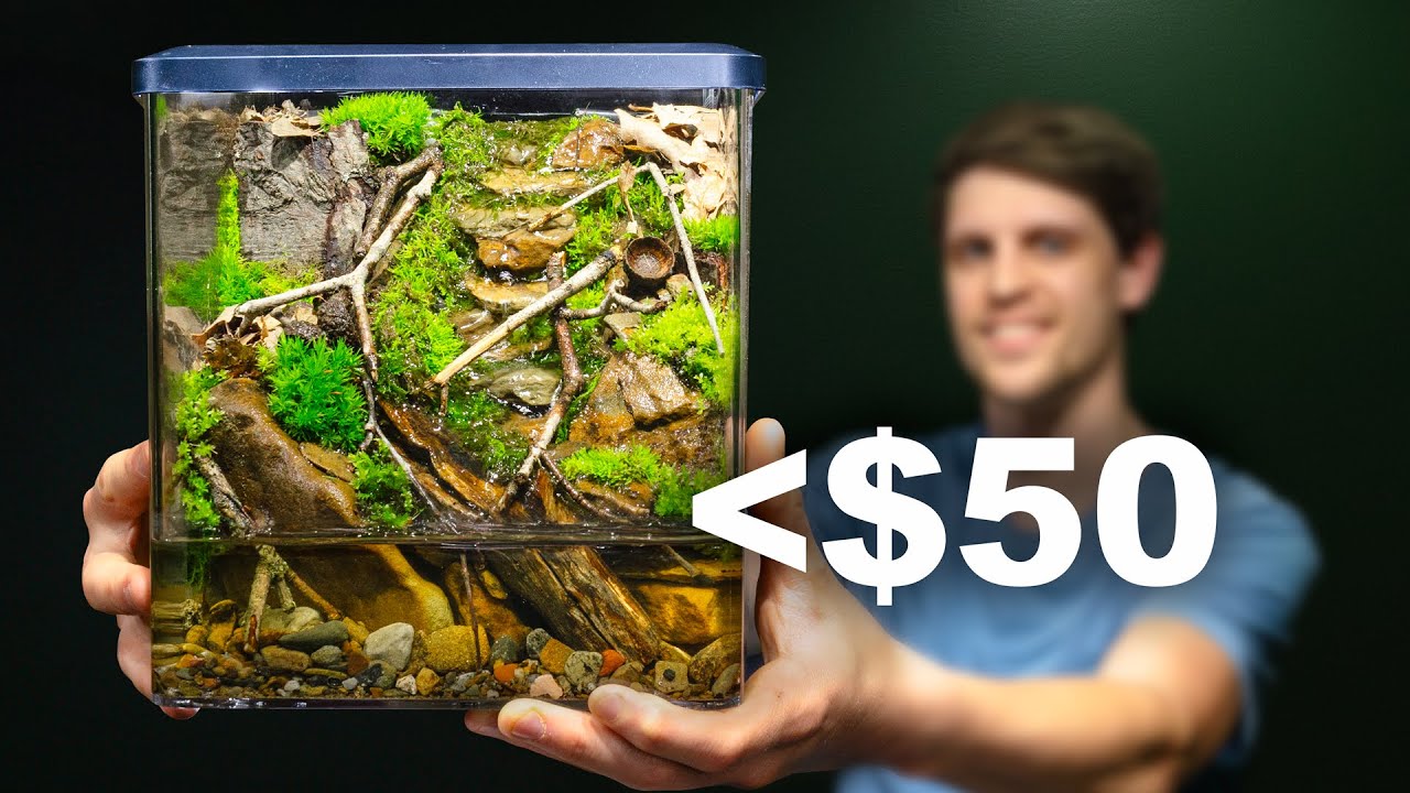Easy Nano Eco Cube - Cheap DIY Paludarium