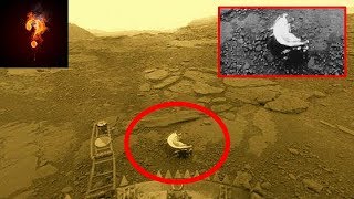 Alien Creatures Photographed On Venus?