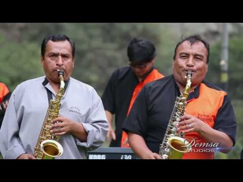 Cumbias  - El Pescadito - Baile del viejo - Baile del chivo