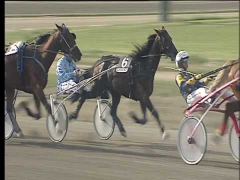 Trotto 17/04/2017 - 5ª corsa