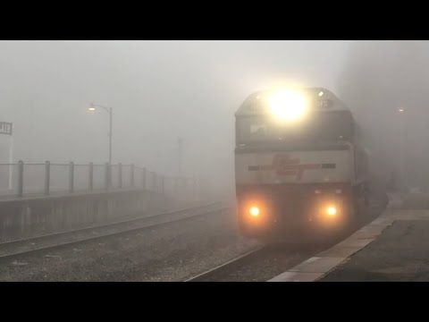 SCT Logistics 5MP9 Goes Through Very Thick Fog at Belair