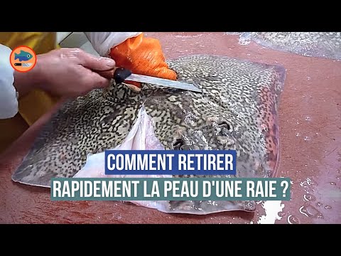 Comment retirer la peau d'une raie ? (par un mareyeur)