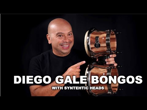 MEINL Percussion Diego Galé NEW Signature Bongos with Fiberskyn Heads