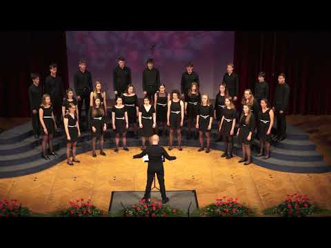 Naša pesem 2022 - MEŠANI MLADINSKI ZBOR EMIL KOMEL, GORICA, ITALIJA - THE SHADOW